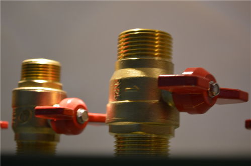 達柏林閥門 批發(fā)零售 廠家直銷