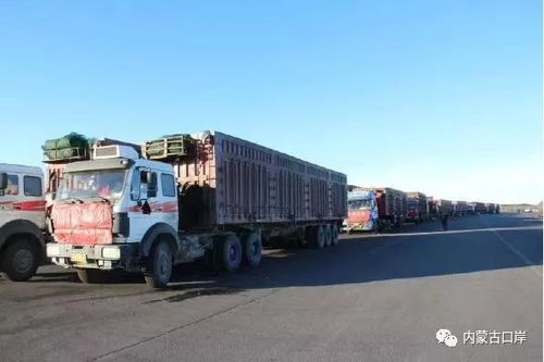 滿都拉口岸進出口報關(guān)貨物首次突破300萬噸